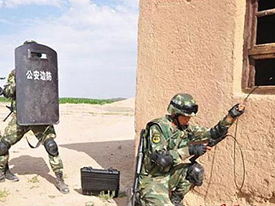 Military and Police