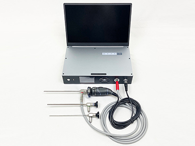 Rigid Borescopes